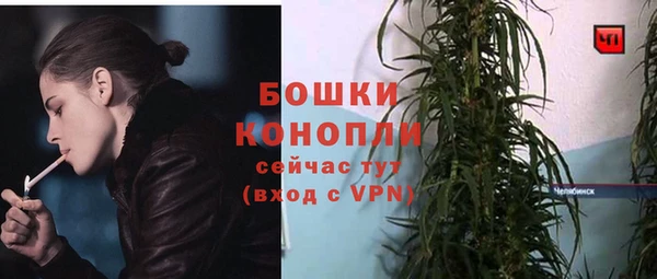 трава Абаза