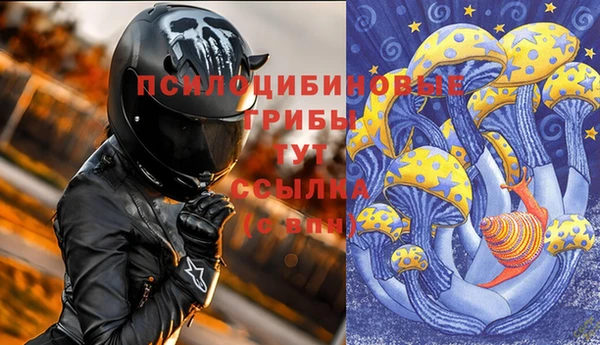 трава Абаза