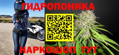 мяу мяу мука Славгород